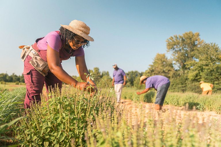 Building a movement from the soil up